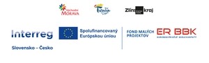 Projekty