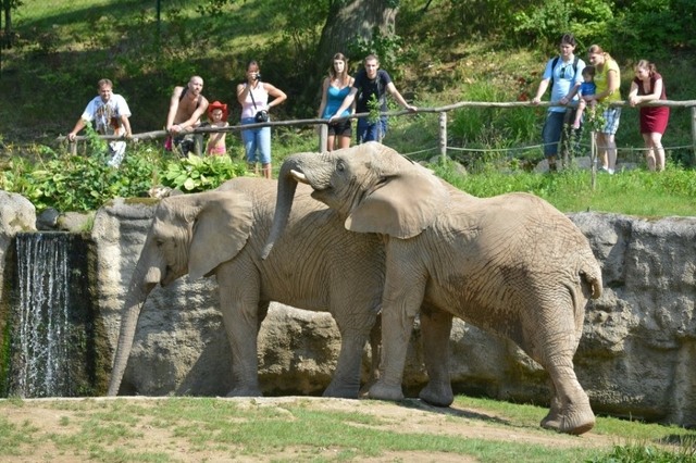 ZOO Zlín-Lešná