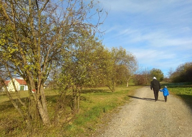 Přírodní park Rochus