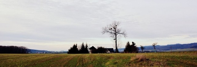 Větřák