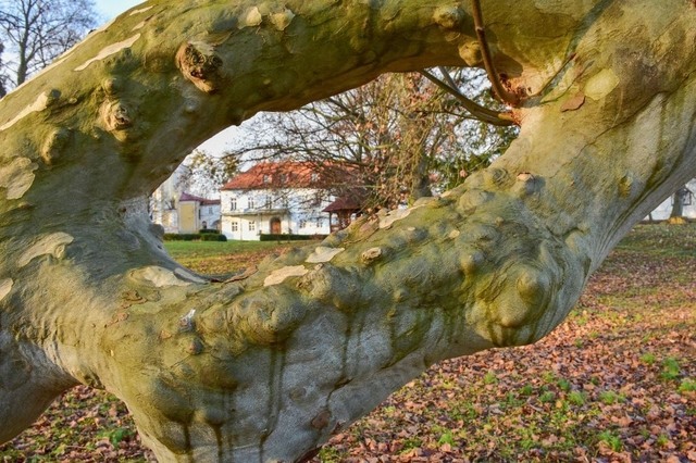 Pohořelice park