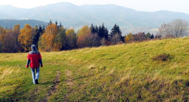 Hostýnské vrchy - Pardus