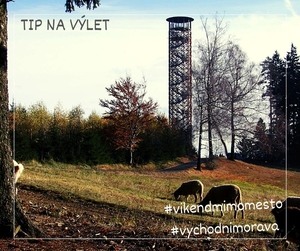 Cestovatelský deník