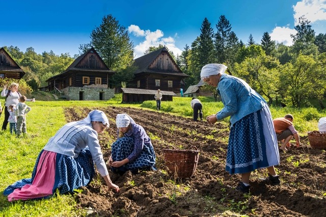Podzim na poli a v chalupě, foto Valašské muzeum v přírodě v Rožnově pod Radhoštěm