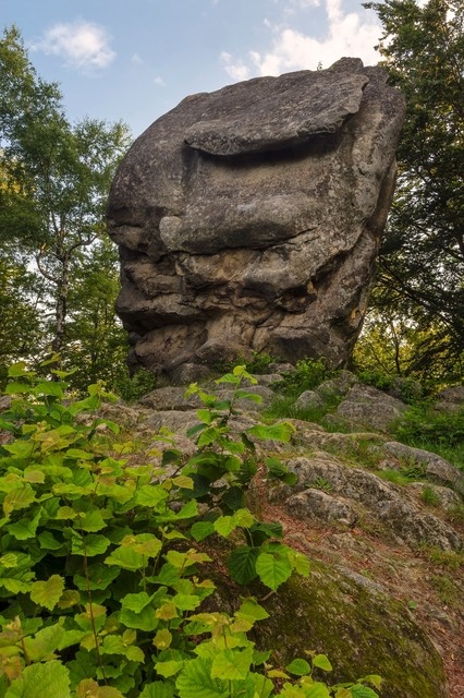 Skalný, foto Martin Peterka