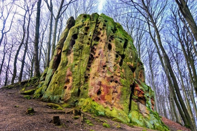 Rýsov