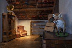 Expozice Muzea Kroměřížska Poklady staré půdy