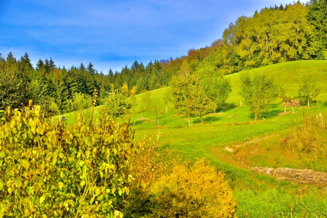Prlov, krajina