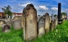 Jídlo, vozatajské závody, heligonkáři i rodiny v Květné zahradě – na Východní Moravě