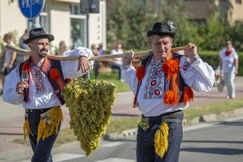 Slovácké slavnosti vína a otevřených památek